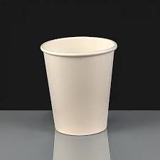 Bamboo Paper Cups